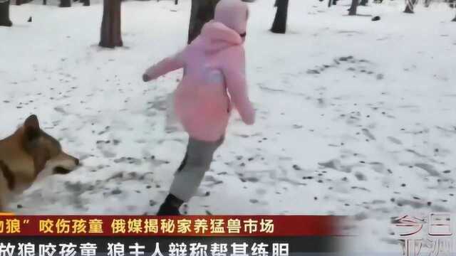 “宠物狼”咬伤孩童 俄媒揭秘家养猛兽市场