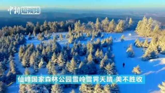 航拍林海雪原霞光一刻美不胜收