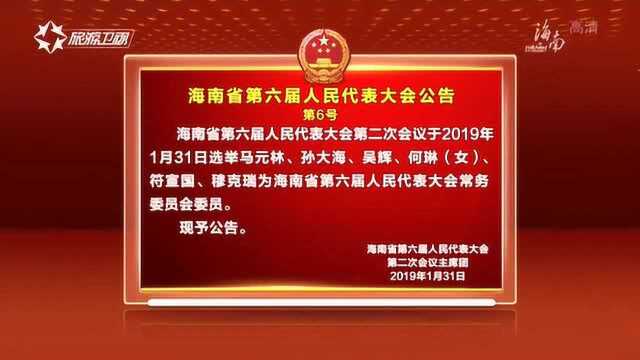 海南省第六届人民代表大会公告第6号