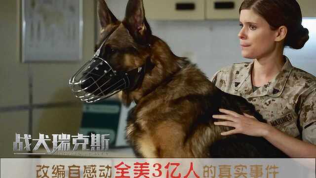 《战犬瑞克斯》:美女士兵和她的战犬是如何感动了全美3亿人的?