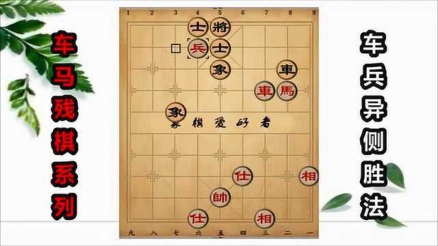 车马兵胜车士象全,最难的车兵异侧,象棋大师也没掌握