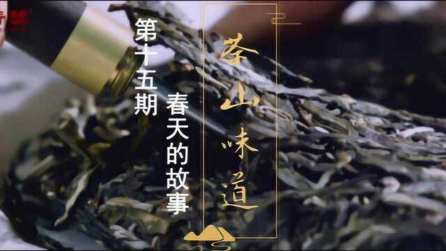 洪普号古茶茶山味道第15期:春天的故事