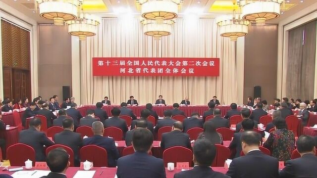 在京出席十三届全国人大二次会议的河北省代表团召开全体会议