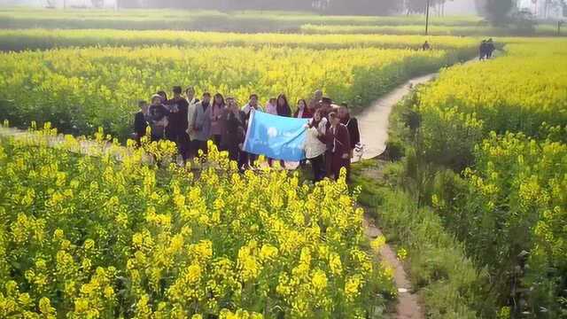 青岗乡菜花乌游玩