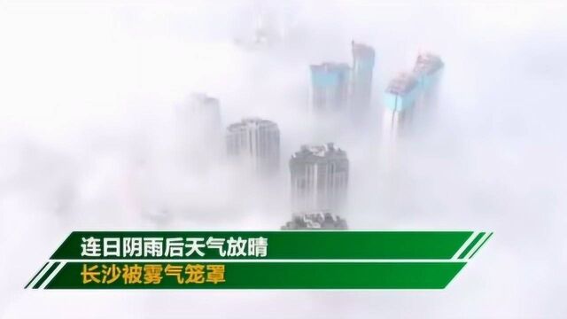 阴雨放晴长沙大雾披身 城市变身“天空之城”