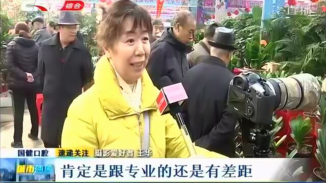 市花“君子兰”魅力齐放,展览会摄影爱好者与君子兰有着别样情怀