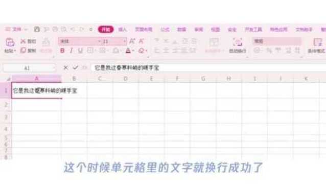 excel表格内文字怎么换行?