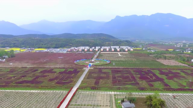 四川江油市大康镇星火花海航拍:李白出生地,中国科技城_腾讯视频