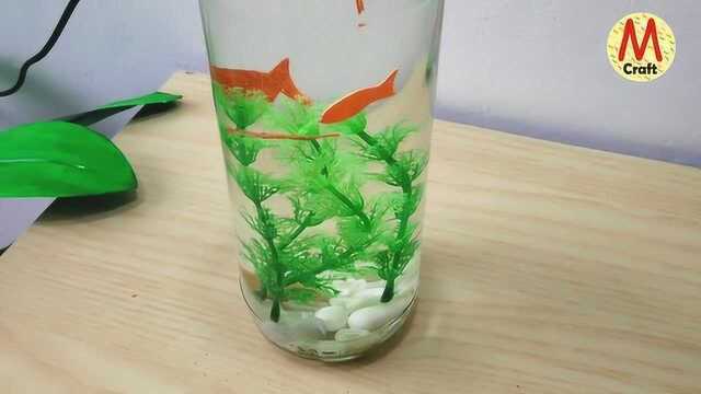 如何用废弃的瓶子制作一个迷你水族箱,精致漂亮的外观