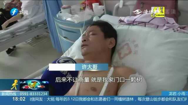 堂兄持刀砍伤堂弟,竟是因为一棵树?