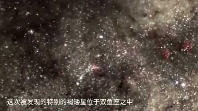 宇宙最独特棕矮星,拥有最纯净成分和最高质量物质,仅此一颗!