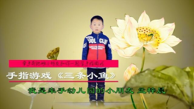 适合幼儿园小朋友表的手指游戏,牵手小朋友和你一起学《三条小鱼》