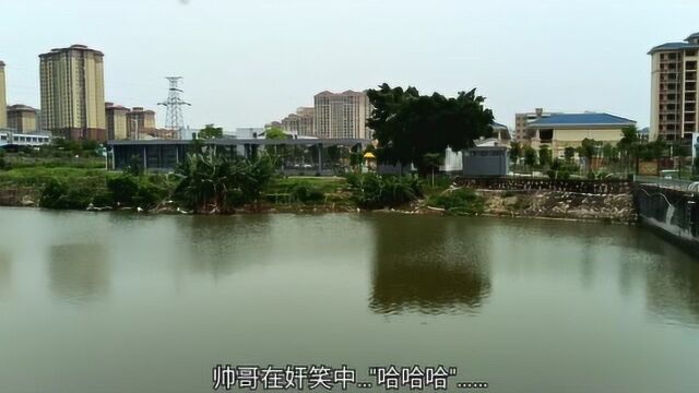 珠海斗门白蕉野钓圣地之一