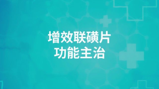 增效联磺片的功能主治