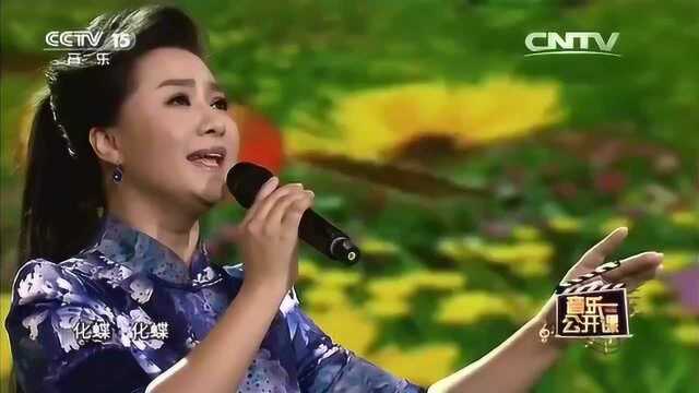 新古典民歌《化蝶》演唱:王丽达