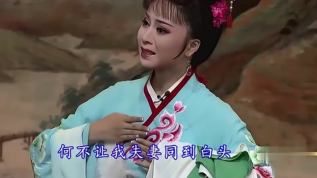 黄梅戏《天仙配》选段,补衣人也不能久留