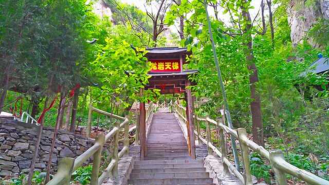 小伙怒爬1311台阶,到达山顶,看到群峦叠嶂的风景,值了