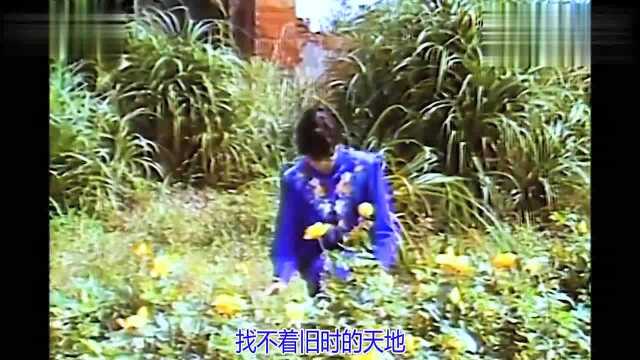 1989台剧《庭院深深》原声主题曲《庭院深深深几许》演唱:江淑娜