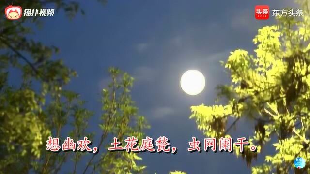 《玉蝴蝶ⷦ™š雨未摧宫树》史达祖 视频朗诵“谢娘悬泪立风前”