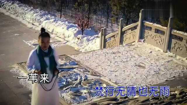 修身养性!一曲《素心若雪》听风听雨听木鱼,今夕明夕复何夕!