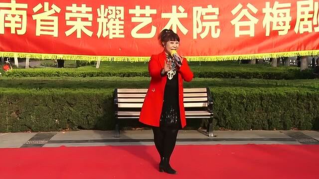 丁艳红演唱:豫剧《抬花轿》“花轿起三声炮响天动地”选段