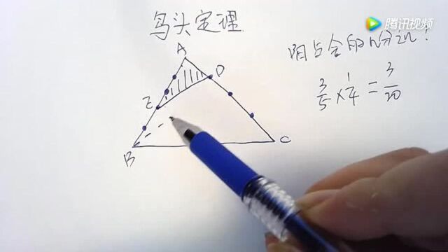 小学数学中的鸟头定理到底是什么意思?大掌柜老师2分钟说明白!