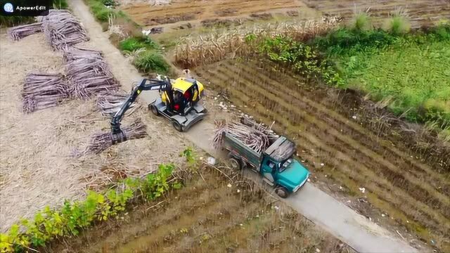 广西地区抓木头抓甘蔗都用这种抓木机,工作起来既方便又高效