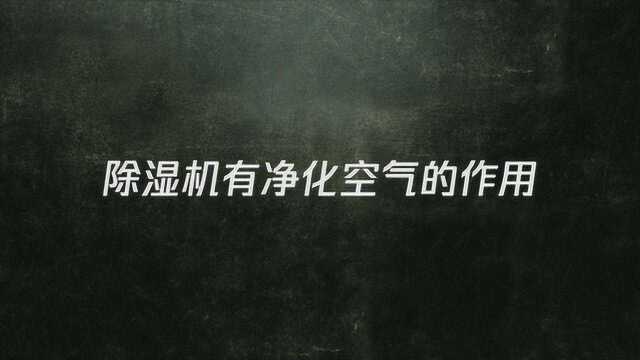 除湿机有净化空气的作用