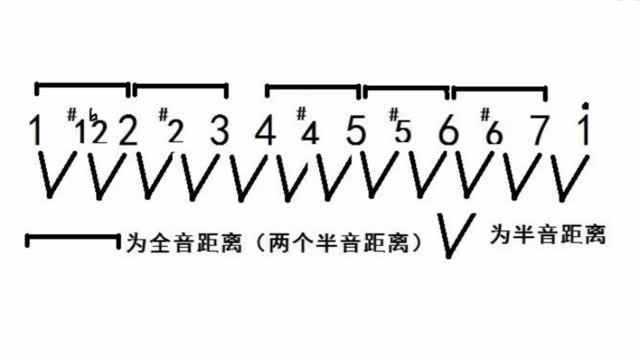 乐理入门知识学起来!教你真正理解“全全半全全全半”的口诀