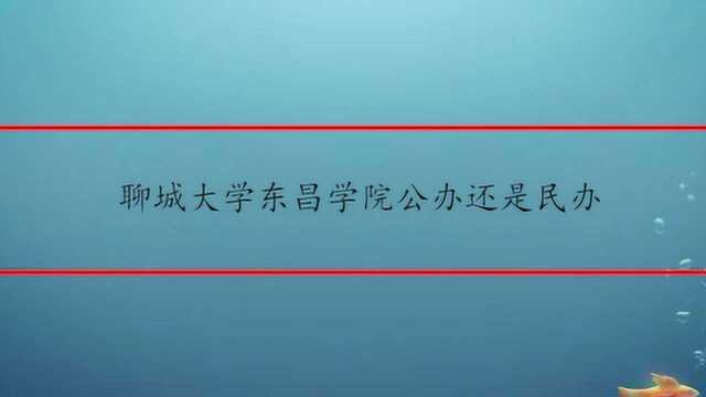 聊城大学东昌学院公办还是民办