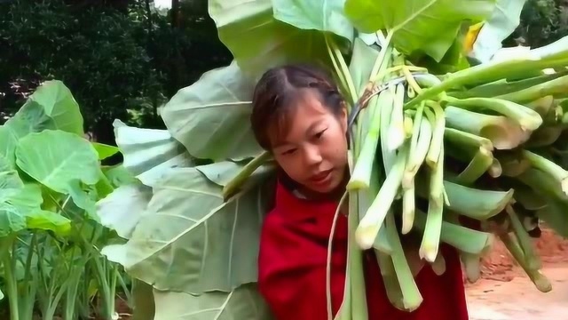 农村的食材太多,第一次见芋头杆也能做成美食,你知道怎么吃吗?