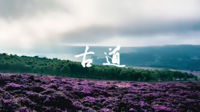 和平之月《古道》一曲入心,在如水的清音里让灵魂自在飞翔