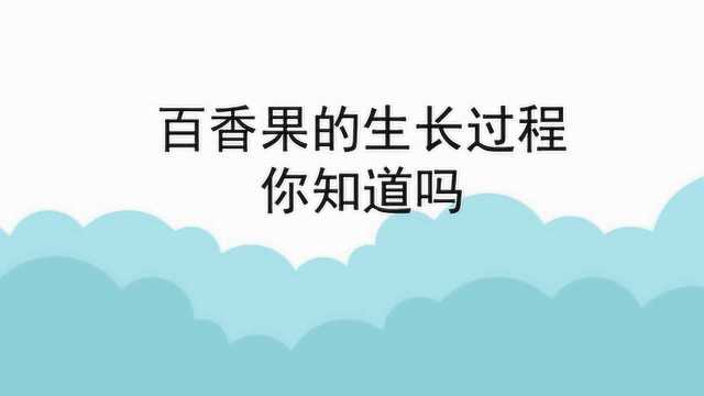 百香果的生长过程你知道吗