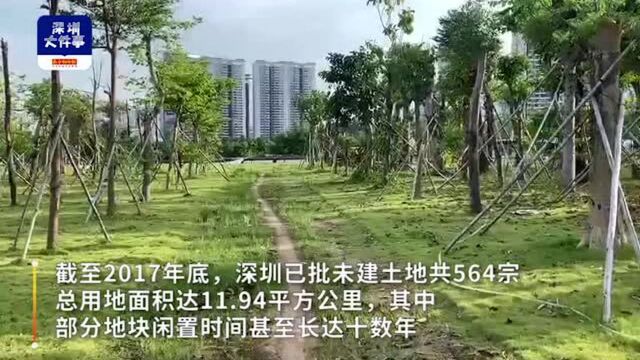 两年内完成!深圳处置已批未建土地,企业原因闲置满一年无偿收回