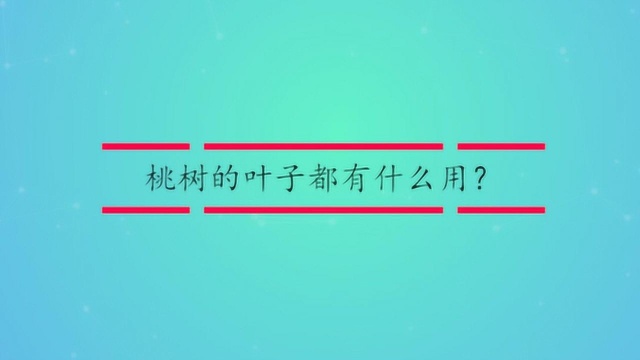 桃树的叶子都有什么用?