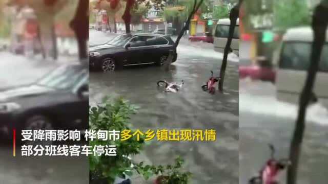 吉林桦甸多个乡镇遭遇汛情水漫街路