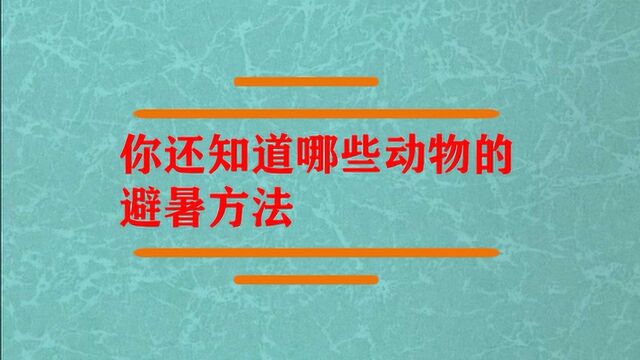 你还知道哪些动物的避暑方法?