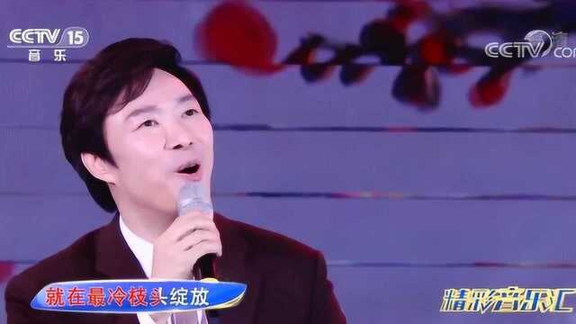 《一剪梅》演唱:费玉清