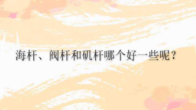 海杆、阀杆和矶杆哪个好一些呢?