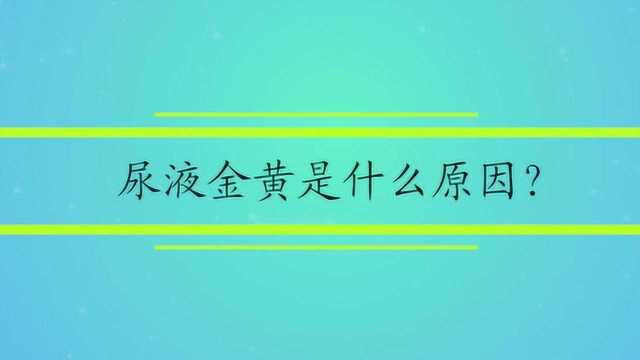 尿液金黄是什么原因?