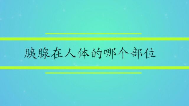 胰腺在人体的哪个部位