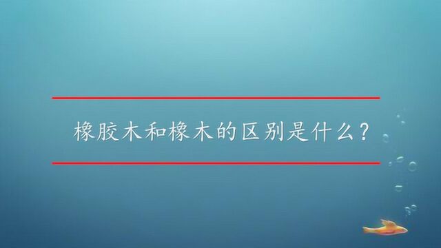 橡胶木和橡木的区别是什么?