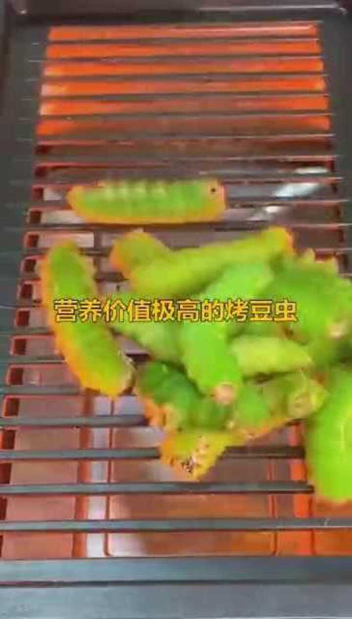 营养价值极高的烤豆虫