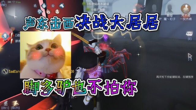 第五人格:神驴声东击西决战大居居,四蹄难敌八脚吃亏了?