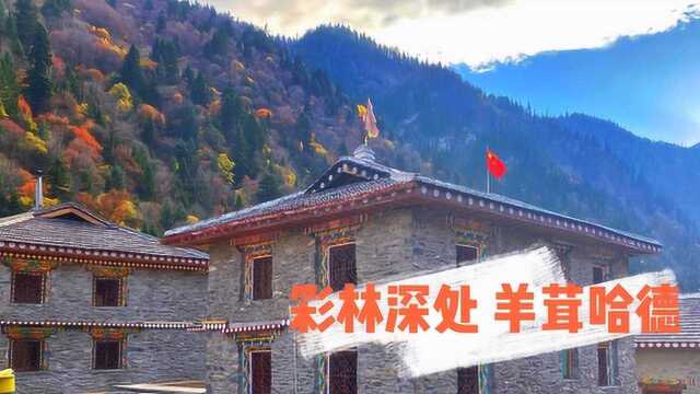 自驾四川阿坝,偶遇雪山脚下的超美村寨羊茸哈德,当地人称神仙居住的地方