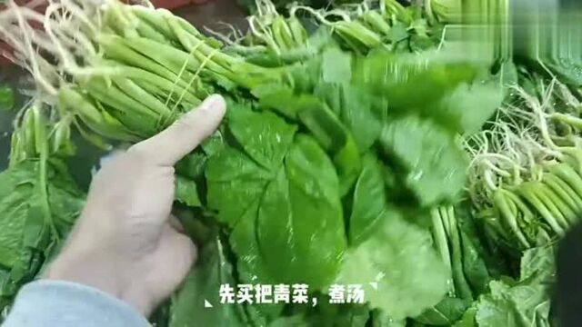 香菜这样做太好吃了,做法简单,非常下饭,给肉都不换