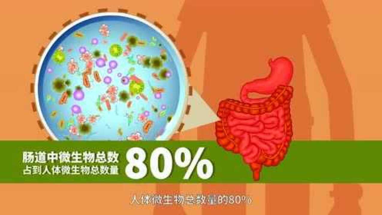 益生菌短视频制作 视频  益生菌+中药材，将会碰撞出什么火花？