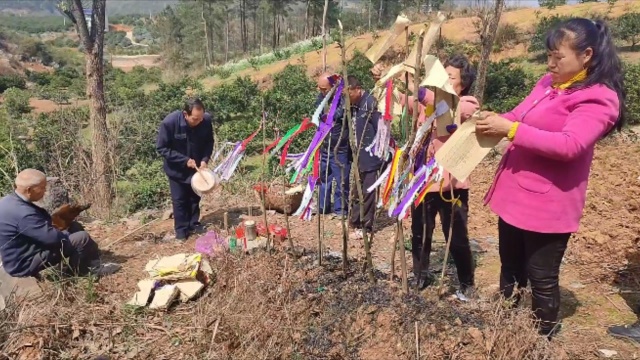 湖南邵阳清明这样祭祖,吊钱纸钱挂满坟头,洒鸡血绕墓三圈