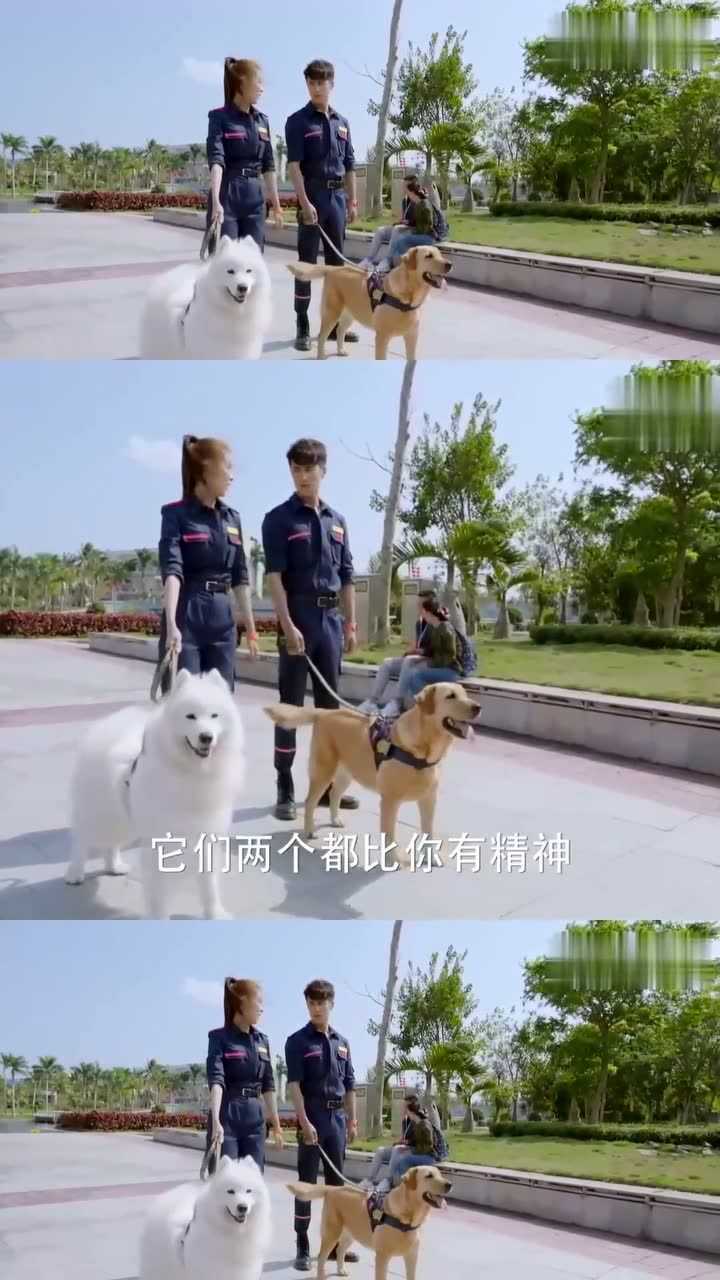 神犬小七:边慕遇到难题垂头丧气_腾讯视频