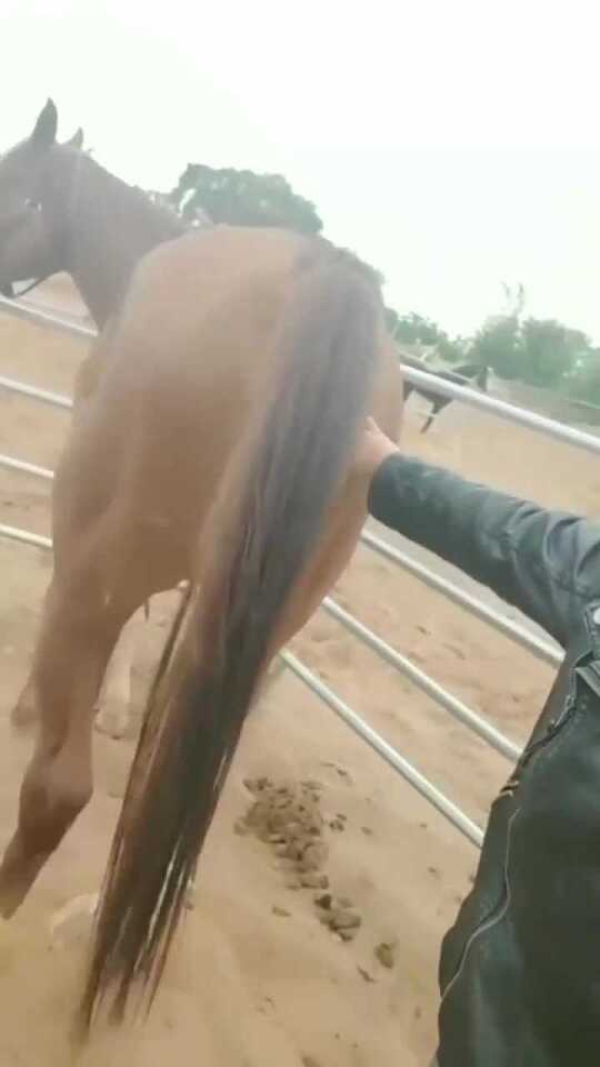 Thumbplayer Poster Plugin Image